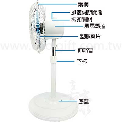 英國熊360度3D立體循環扇12吋